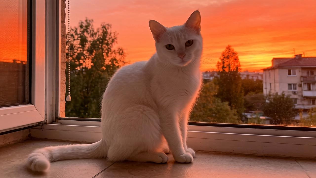 文章家具老化不再头疼，实木修复秘诀大公开第一张图