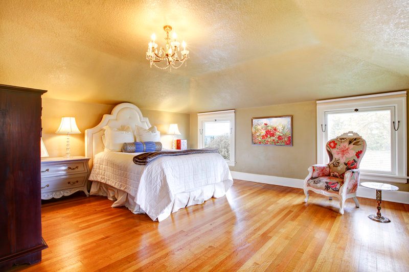 室内观花植物推荐与养护指南