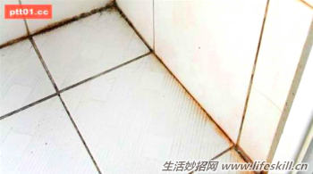 有效去除磁砖缝里霉斑的好方法(图1) 有效去除磁砖缝里霉斑的好方法