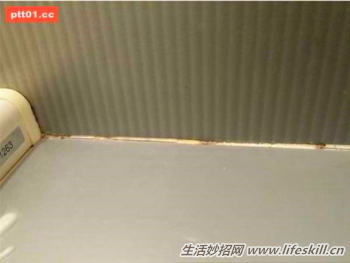 有效去除磁砖缝里霉斑的好方法(图5) 有效去除磁砖缝里霉斑的好方法