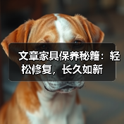 文章家具保养秘籍：轻松修复，长久如新（图3）