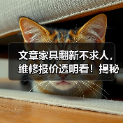 文章家具翻新不求人，维修报价透明看！揭秘家居焕新秘密（图4）