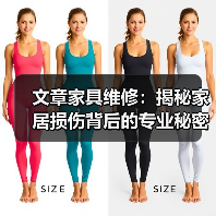 文章家具维修：揭秘家居损伤背后的专业秘密