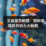 文章家具修复:揭秘家居保养的五大秘籍(图2) 文章家具修复:揭秘家居保养的五大秘籍(图2)
