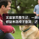 文章家具重生记：一招修复木质椅子靠背，还原家居之美（图4）
