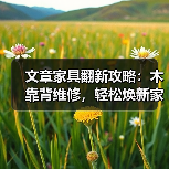 文章家具翻新攻略：木靠背维修，轻松焕新家之魂（图4）