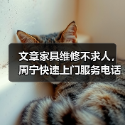 文章家具维修不求人,周宁快速上门服务电话速查(图4) 文章家具维修不求人,周宁快速上门服务电话速查(图4)