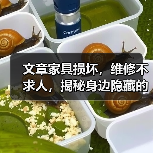 文章家具损坏，维修不求人，揭秘身边隐藏的维修高手（图1）