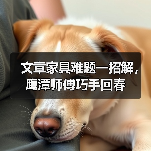 文章家具难题一招解,鹰潭师傅巧手回春(图2) 文章家具难题一招解,鹰潭师傅巧手回春(图2)
