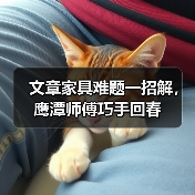 文章家具难题一招解,鹰潭师傅巧手回春(图4) 文章家具难题一招解,鹰潭师傅巧手回春(图4)