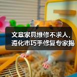 文章家具维修不求人,遵化市巧手修复专家揭秘(图1) 文章家具维修不求人,遵化市巧手修复专家揭秘(图1)