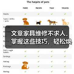 文章家具维修不求人，掌握这些技巧，轻松焕新家（图1）