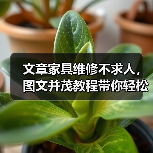 文章家具维修不求人，图文并茂教程带你轻松搞定（图3）