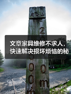 文章家具维修不求人,快速解决损坏烦恼的秘密电话!(图3) 文章家具维修不求人,快速解决损坏烦恼的秘密电话!(图3)
