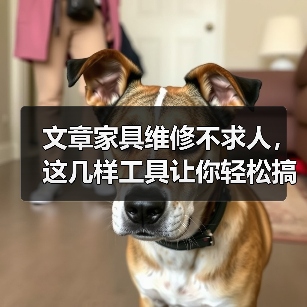 文章家具维修不求人,这几样工具让你轻松搞定!(图1) 文章家具维修不求人,这几样工具让你轻松搞定!(图1)