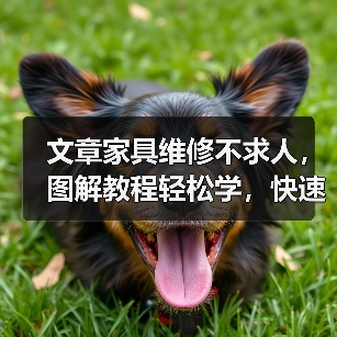 文章家具维修不求人，图解教程轻松学，快速修复家居烦恼（图3）