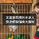 文章家具损坏不求人，快速修复指南大揭秘（图2）