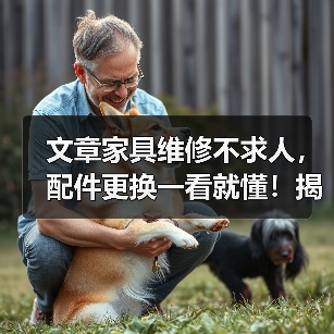 文章家具维修不求人，配件更换一看就懂！揭秘家居保养秘诀（图1）