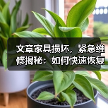文章家具损坏,紧急维修揭秘:如何快速恢复家居原貌(图4) 文章家具损坏,紧急维修揭秘:如何快速恢复家居原貌(图4)