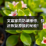 文章家具防潮维修,快速恢复原貌的秘密!(图1) 文章家具防潮维修,快速恢复原貌的秘密!(图1)