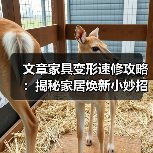 文章家具变形速修攻略：揭秘家居焕新小妙招（图2）