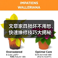 文章家具损坏不用愁,快速维修技巧大揭秘(图2) 文章家具损坏不用愁,快速维修技巧大揭秘(图2)