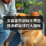 文章家具划痕不用愁,快速修复技巧大揭秘(图1) 文章家具划痕不用愁,快速修复技巧大揭秘(图1)