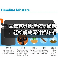 文章家具快速修复秘籍：轻松解决零件损坏难题（图3）
