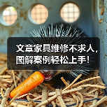 文章家具维修不求人,图解案例轻松上手!(图4) 文章家具维修不求人,图解案例轻松上手!(图4)