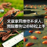 文章家具维修不求人,图解案例让你轻松上手(图4) 文章家具维修不求人,图解案例让你轻松上手(图4)