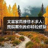 文章家具维修不求人:图解案例教你轻松修复家常家具(图4) 文章家具维修不求人:图解案例教你轻松修复家常家具(图4)