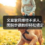 文章家具维修不求人,图解步骤教你轻松搞定!(图3) 文章家具维修不求人,图解步骤教你轻松搞定!(图3)