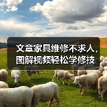 文章家具维修不求人，图解视频轻松学修技（图1）