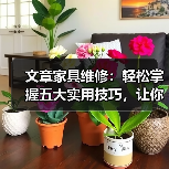 文章家具维修:轻松掌握五大实用技巧,让你的家居焕然一新(图2) 文章家具维修:轻松掌握五大实用技巧,让你的家居焕然一新(图2)