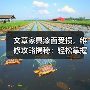 文章家具漆面受损,维修攻略揭秘:轻松掌握定西家具漆面修复技巧(图3) 文章家具漆面受损,维修攻略揭秘:轻松掌握定西家具漆面修复技巧(图3)