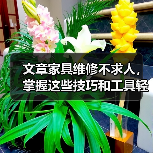 文章家具维修不求人，掌握这些技巧和工具轻松搞定（图4）
