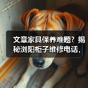 文章家具保养难题?揭秘浏阳柜子维修电话,让家居生活无忧(图3) 文章家具保养难题?揭秘浏阳柜子维修电话,让家居生活无忧(图3)