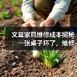 文章家具维修成本揭秘:一张桌子坏了,维修费用到底多少?(图2) 文章家具维修成本揭秘:一张桌子坏了,维修费用到底多少?(图2)