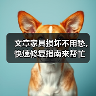 文章家具损坏不用愁,快速修复指南来帮忙(图4) 文章家具损坏不用愁,快速修复指南来帮忙(图4)