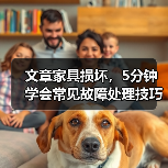 文章家具损坏，5分钟学会常见故障处理技巧（图2）
