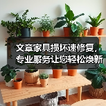 文章家具损坏速修复，专业服务让您轻松焕新家（图2）