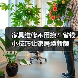 家具维修不用换?省钱小技巧让家居焕新颜(图1) 家具维修不用换?省钱小技巧让家居焕新颜(图1)