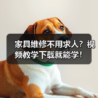 家具维修不用求人?视频教学下载就能学!(图2) 家具维修不用求人?视频教学下载就能学!(图2)