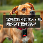 家具维修不用求人?视频教学下载就能学!(图4) 家具维修不用求人?视频教学下载就能学!(图4)