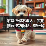 家具维修不求人：实用修复技巧揭秘，轻松解决常见问题（图4）