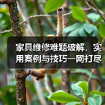 家具维修难题破解,实用案例与技巧一网打尽(图2) 家具维修难题破解,实用案例与技巧一网打尽(图2)