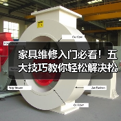 家具维修入门必看！五大技巧教你轻松解决松动裂缝问题（图3）