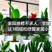 家具维修不求人，掌握这3招轻松修复家居小问题（图4）
