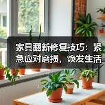 家具翻新修复技巧:紧急应对磨损,焕发生活新貌(图2) 家具翻新修复技巧:紧急应对磨损,焕发生活新貌(图2)
