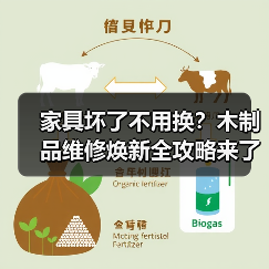 家具坏了不用换?木制品维修焕新全攻略来了!(图3) 家具坏了不用换?木制品维修焕新全攻略来了!(图3)